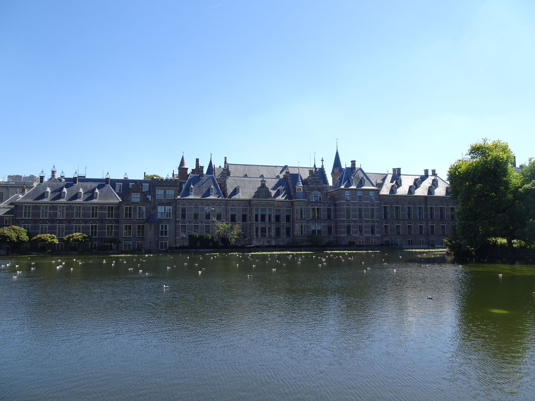 Eerst wel, toen niet, toch wel: de Kamer en de regenboogvlag