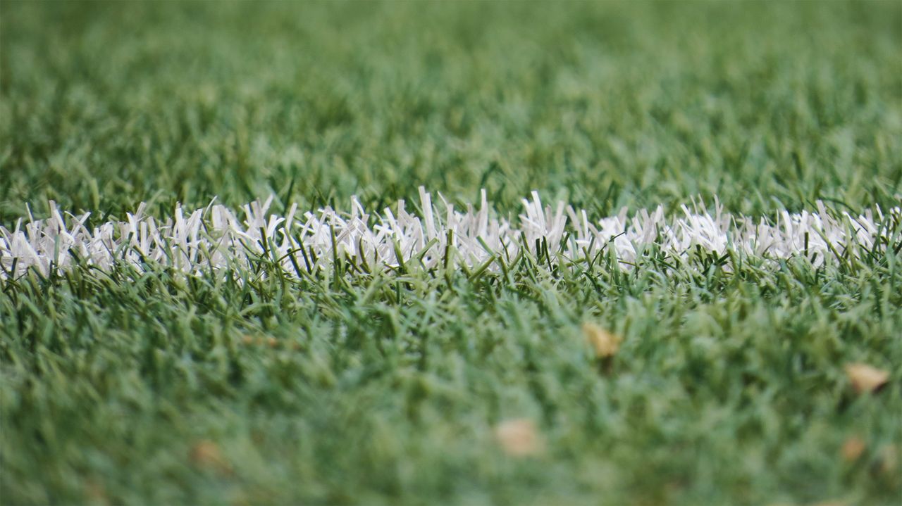 Het transgenderbeleid van sportbonden vergeleken: wie sluit uit, wie meet, wie kiest voor open categorie
