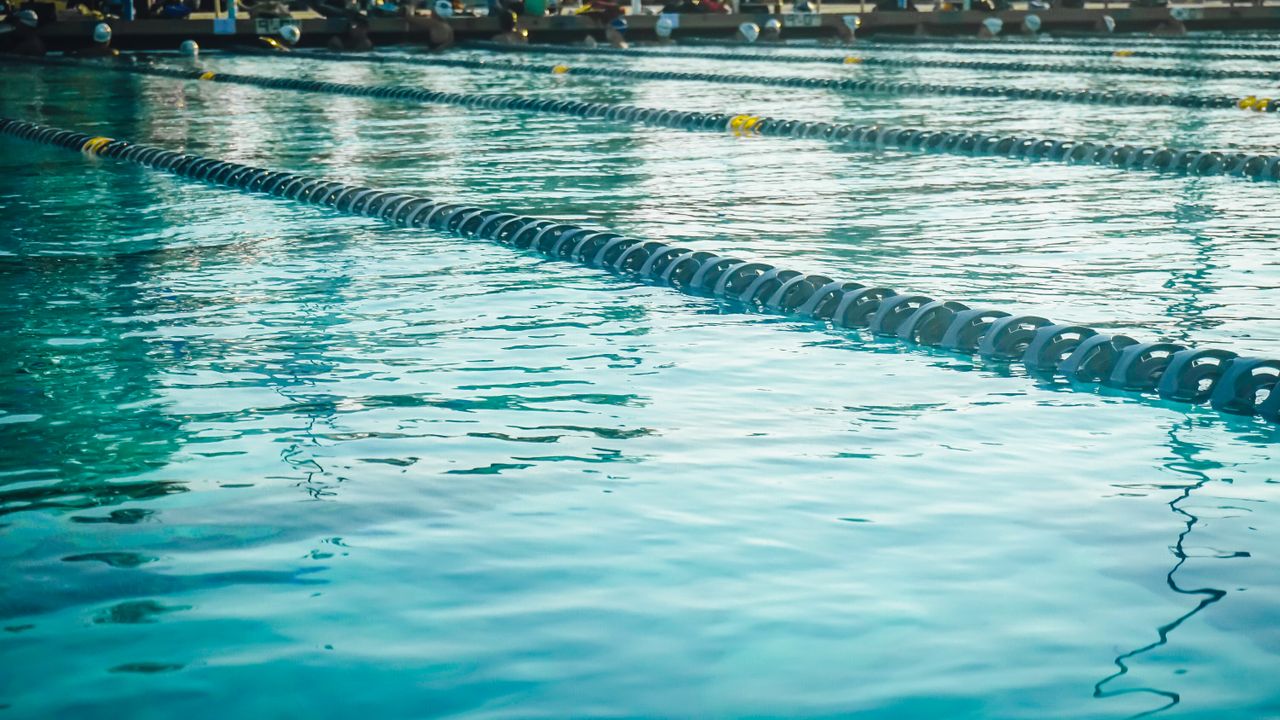 Wat vinden atletes zelf van transvrouwen in de vrouwensport?